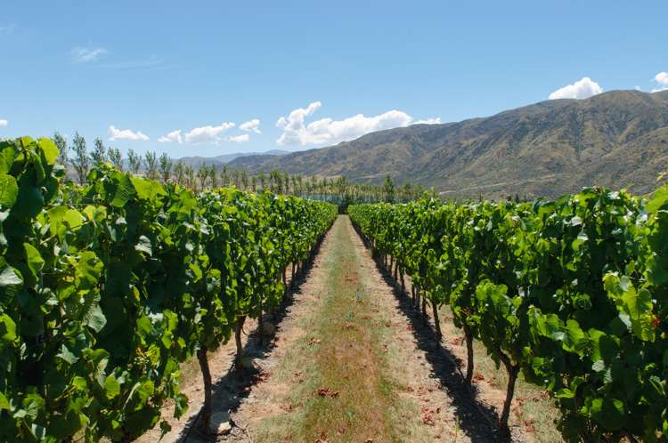 9 Awahokomo Road Kurow_5