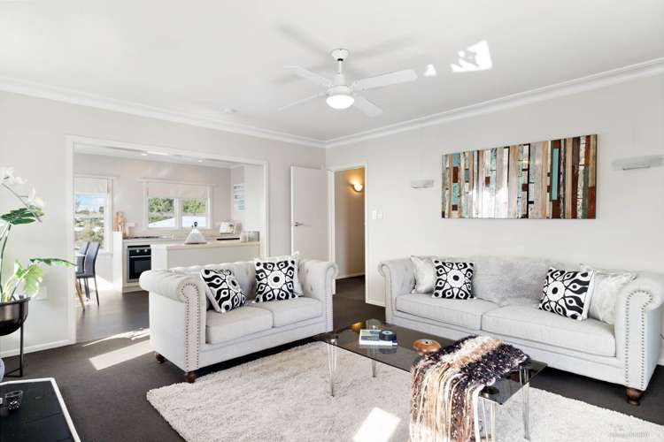 20 Hooper Avenue Pukekohe_0