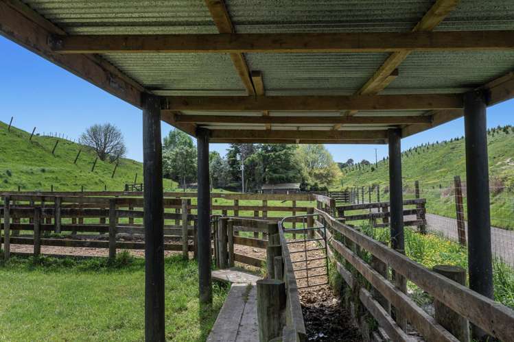 103 Rendall Road Rotoma_16