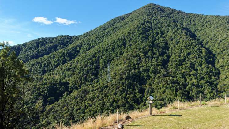 291 Braeburn Track Braeburn Range_14