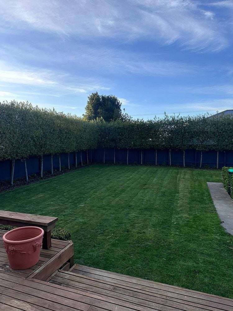 3 Elliott Crescent Havelock North_6