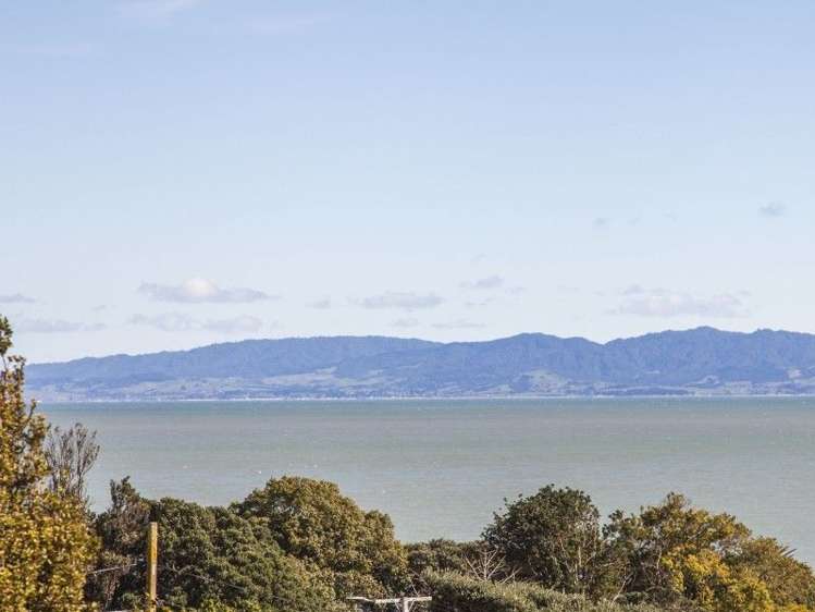 18 Patui Avenue Ngarimu Bay_17