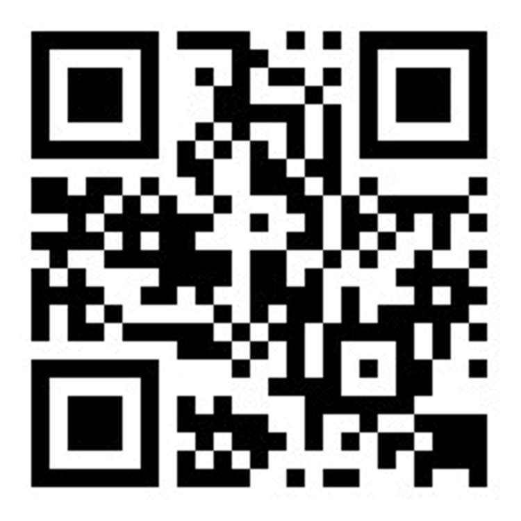 48 Colman Avenue Sockburn_15