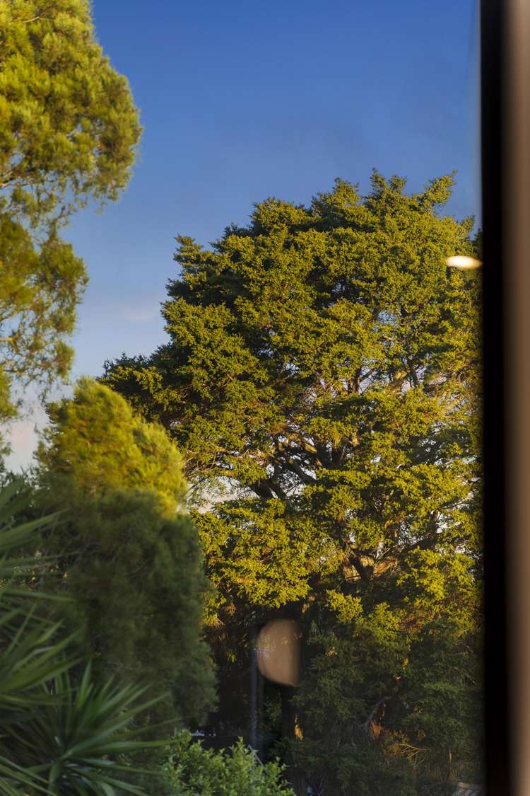 35B Lynden Avenue Hillcrest_19