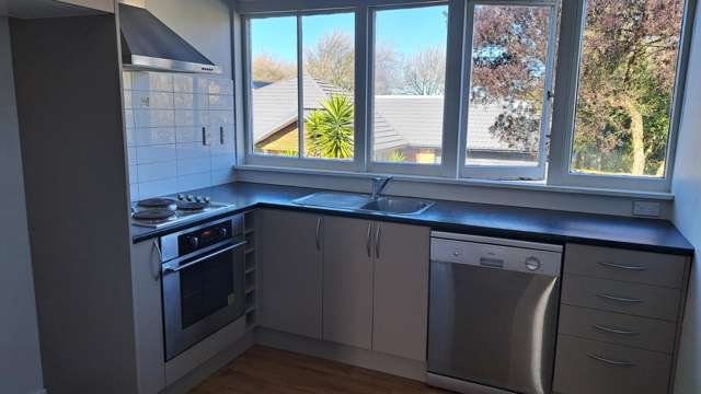 3/180 England Street Linwood_3