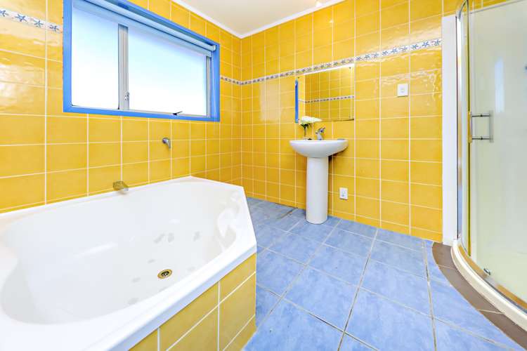 45 Walworth Avenue Pakuranga Heights_10