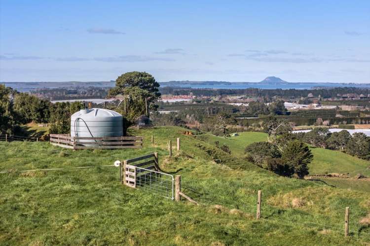 263 Hot Springs Road Katikati_9