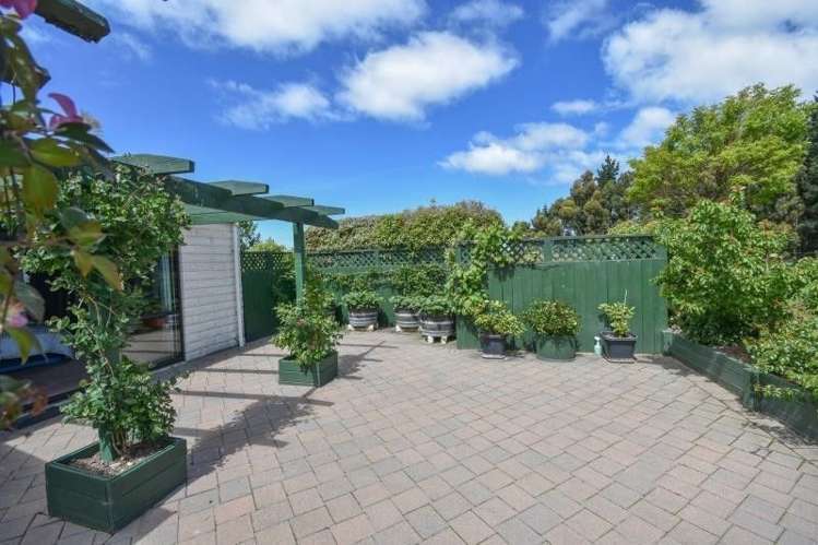 176 Brighton Road Waldronville_4