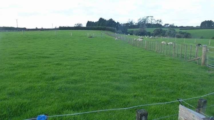 20 Tariki Road South Tariki_2