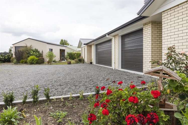 15d Aitken Street Bulls_3