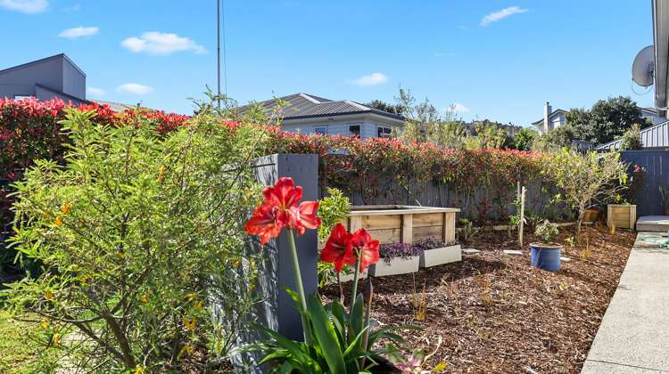 14 Trevally Place Snells Beach_21
