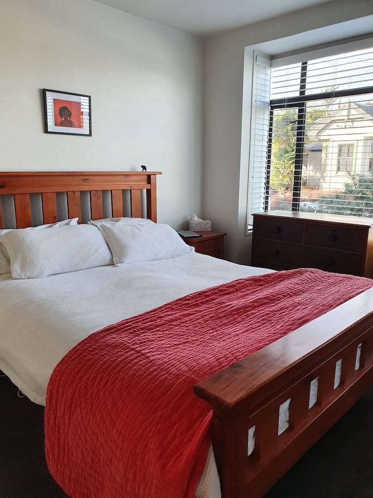 29 Sheehan Street Ponsonby_5