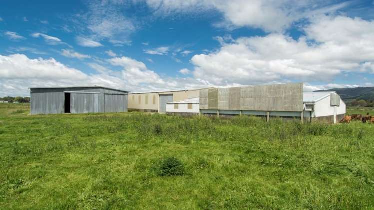 19a Manoeka Road Te Puke_17