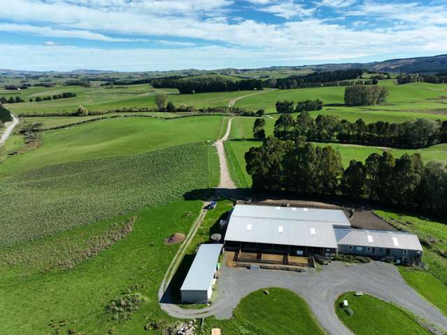 191 Chapman Road Wharetoa_1