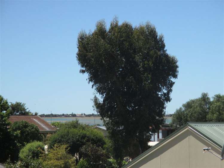 28 Aratoro Place Mount Pleasant_6