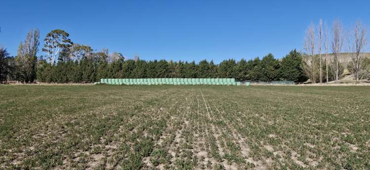 69 Thomson Gorge Road Tarras_6