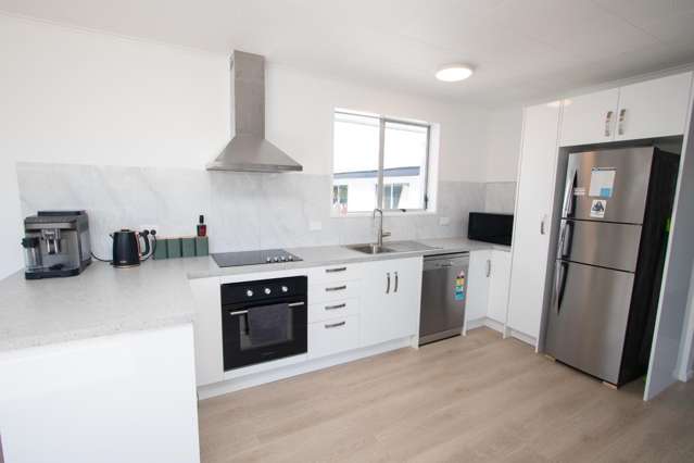 59 Thomson Street Tinwald_2