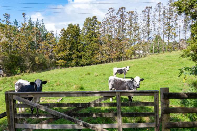 1132 Peak Road Helensville_20