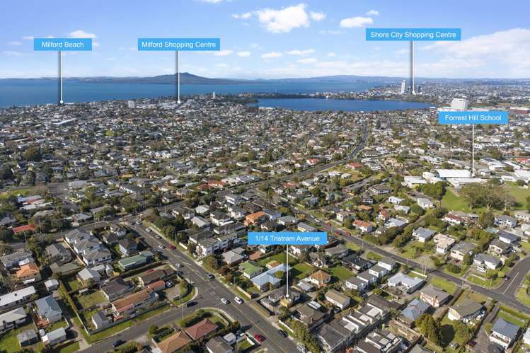 1/14 Tristram Avenue Forrest Hill_14