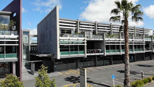 23 Edwin Street Mt Eden_1