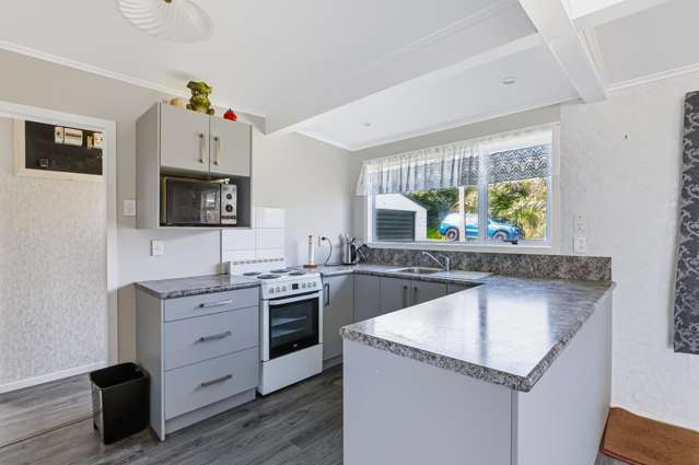 11A Ye Old Mill Road Awakino_1