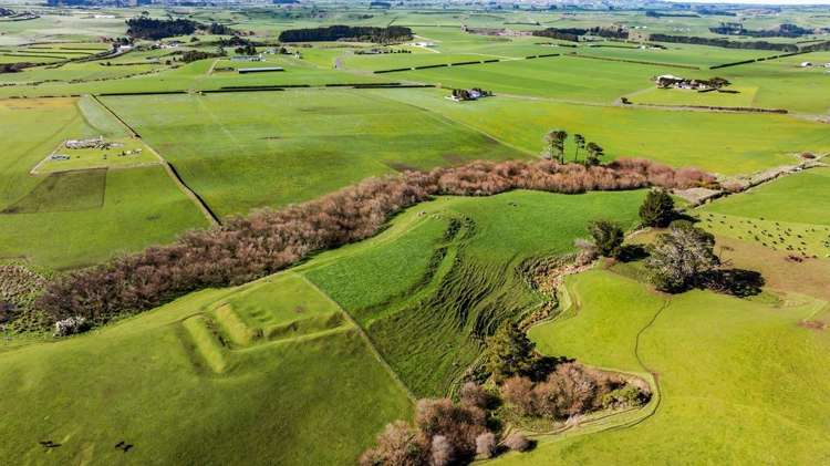 5B2A Hastings Road Okaiawa_8