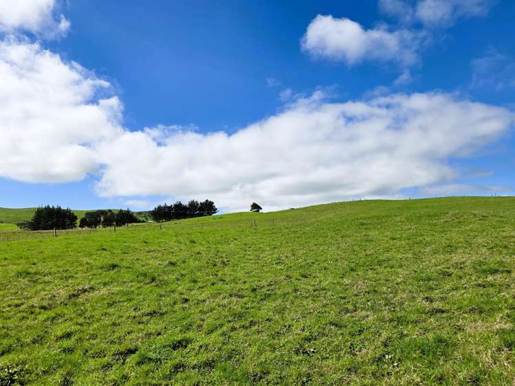 6320 State Highway 12 Dargaville_14