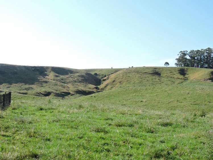 Taotaoroa Road Matamata_4