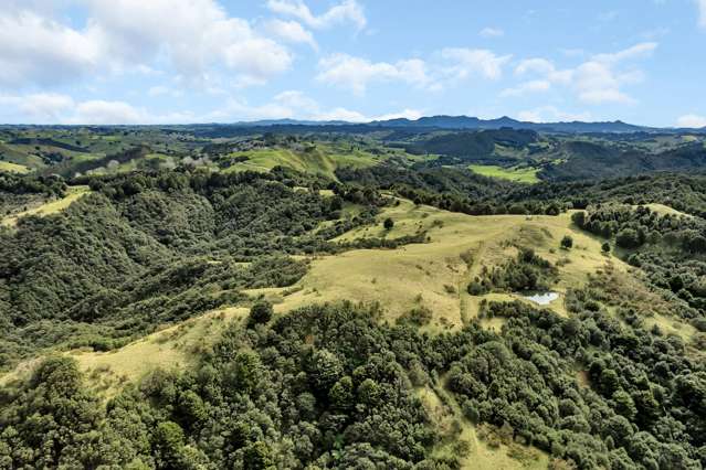 897 Bull Road Waiotira_3