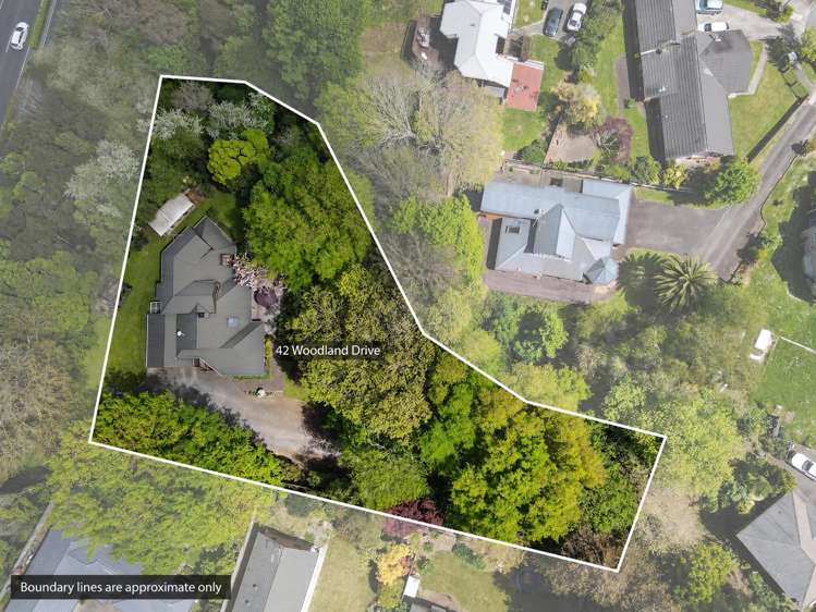 42 Woodland Drive Flagstaff_23