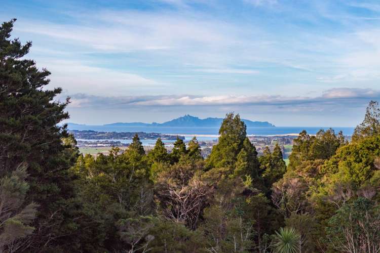 Lots 1 & 2 Carters Road West Mangawhai_32