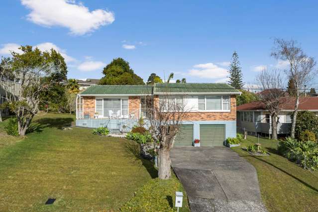 48 Anita Avenue Mount Roskill_1