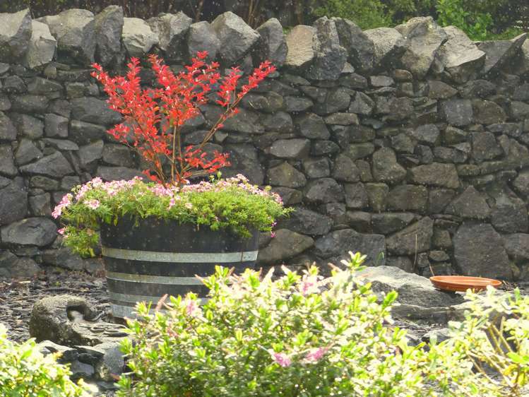 53 Kitewaho Road Swanson_90