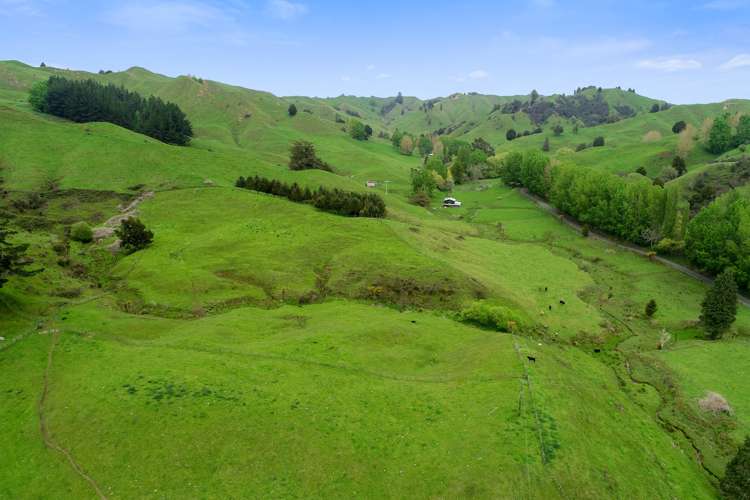 205 Tunanui Road Owhango_19