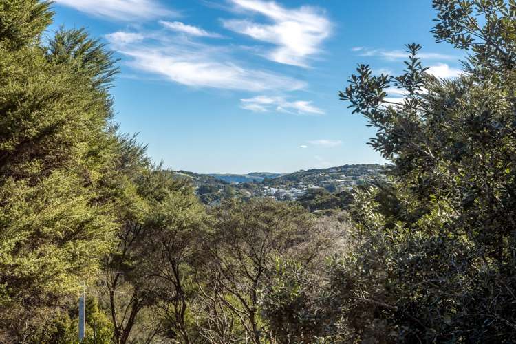 30 Hekerua Road Oneroa_17