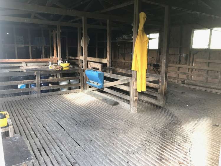 1265 Riponui Road Ruatangata_18