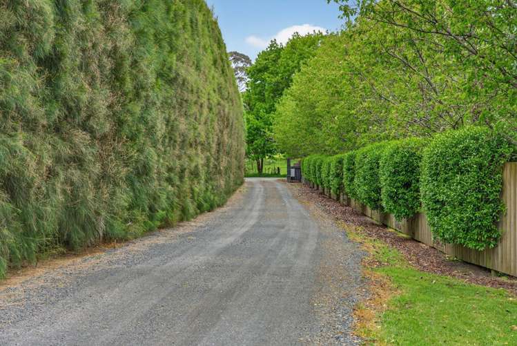 333 Tuhimata Road Ramarama_44