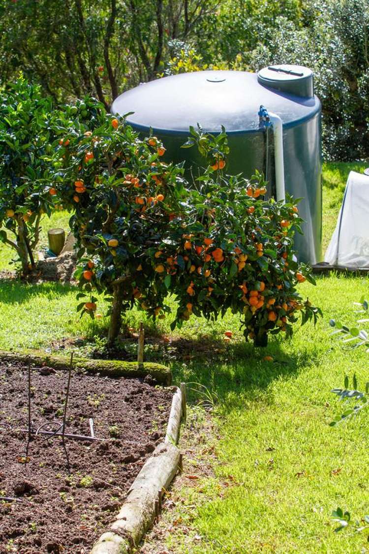 78c Bennett Road Te Mata_28