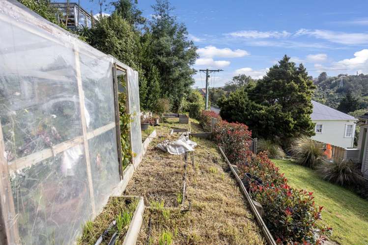 46 Waimea Avenue Calton Hill_22