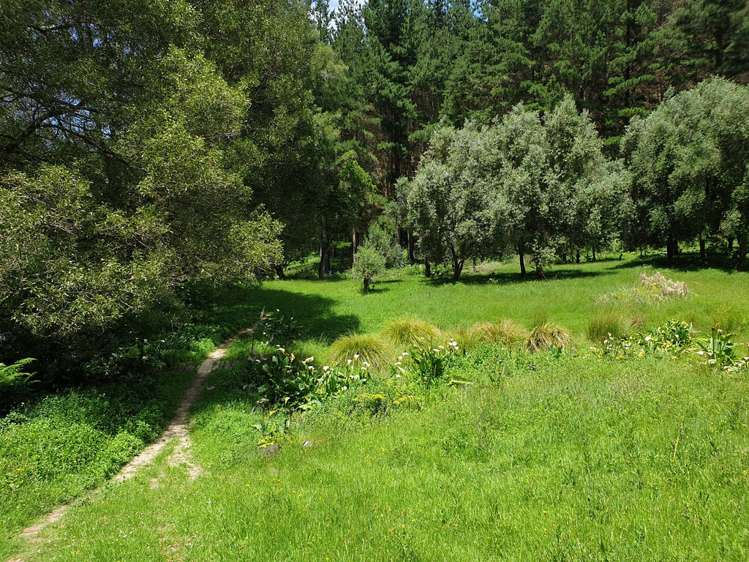 217 Taumatatahi Road Ruapehu-King Country Surrounds_24