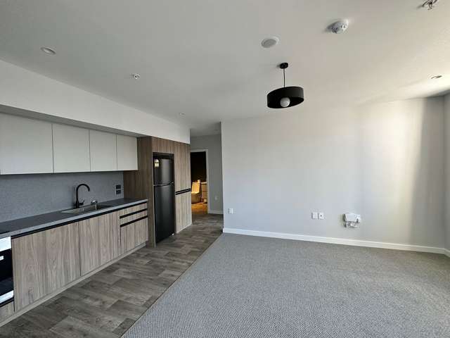 Modern Apartment in Hutt Central