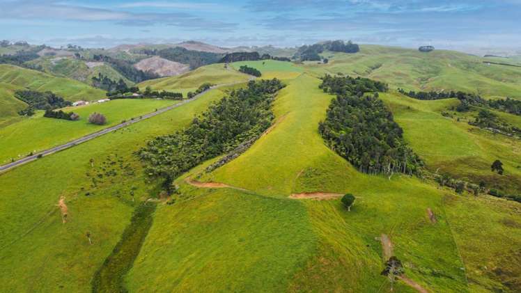 1131 Waikaretu Valley Road Waikaretu_11
