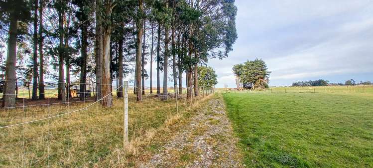 63A Half Mile Road Tuatapere_5