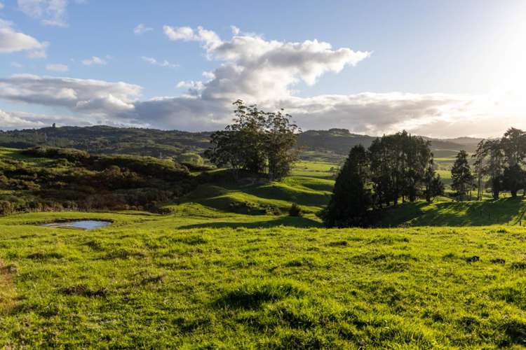 108 Range Road Kawakawa_7