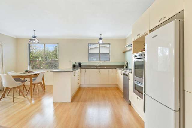 59 Houldsworth Street Blenheim Central_4