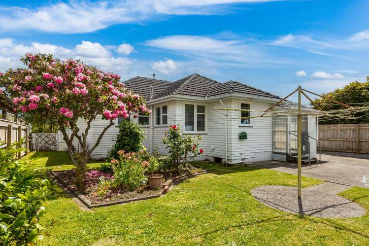 13 Mccurdy Street Elderslea_18