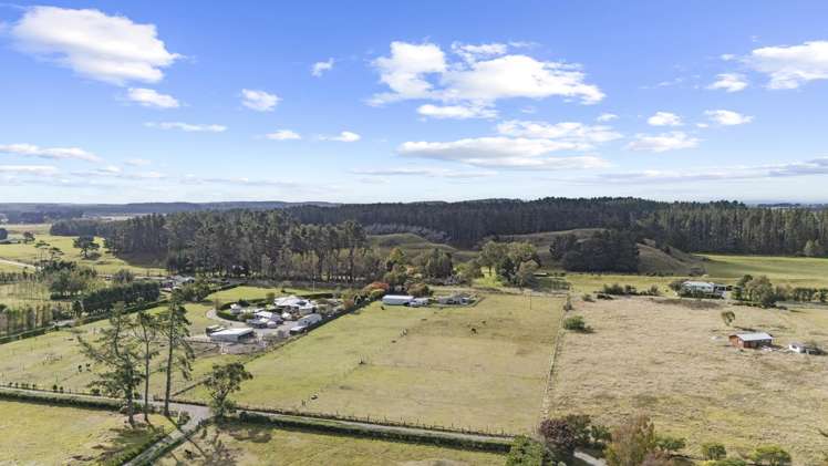 363 Brandon Hall Road Bulls_29