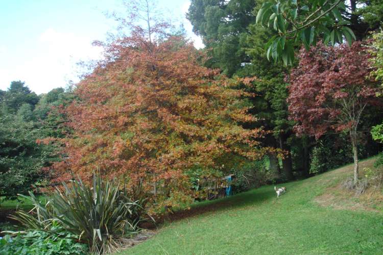 145b Helenslee Road Pokeno_55