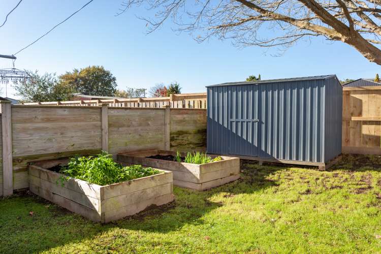 29 Bear Street Tirau_15