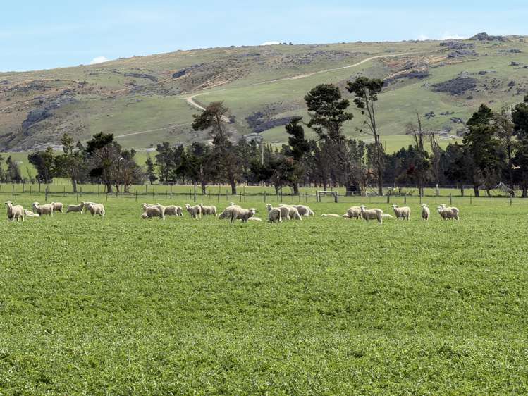 755-971 Linnburn Runs Road Paerau_9